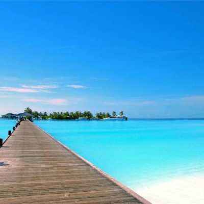 九万彩票安卓软件手机app下载